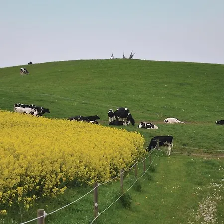 Three-bedroom In בית נופש *