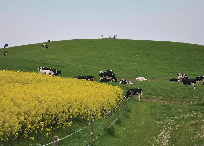 Three-bedroom In Feriehus *